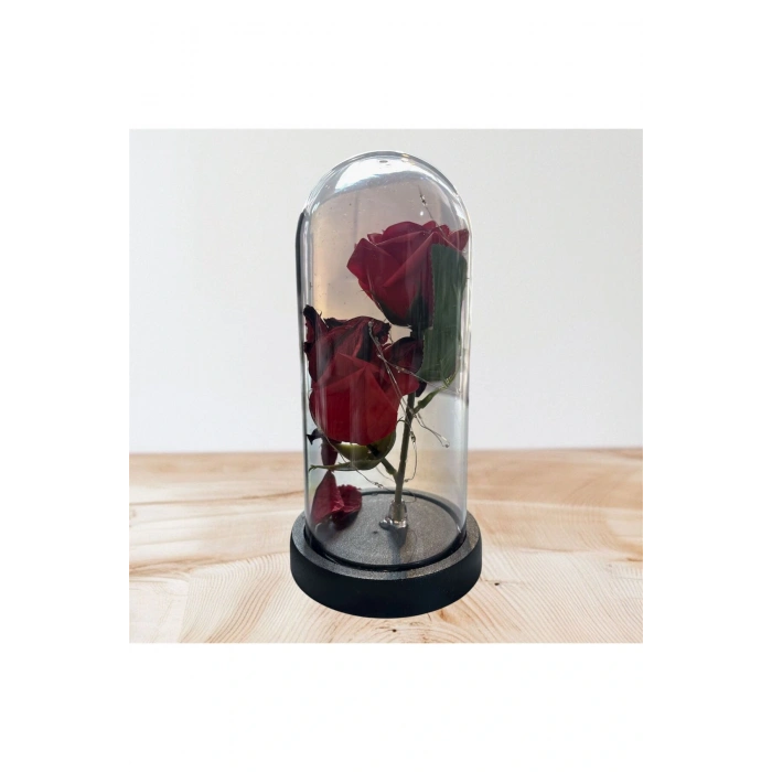 Fanus İçinde Gül Led Işıklı