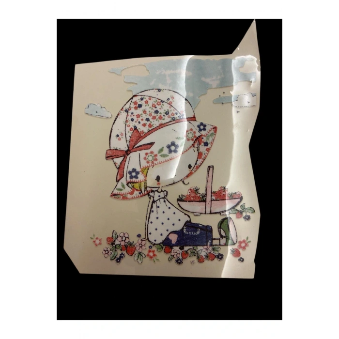 DTF Baskı Arma Yama Etiket, Ütü ile Yapışan Tişört Tekstil Transfer Baskı