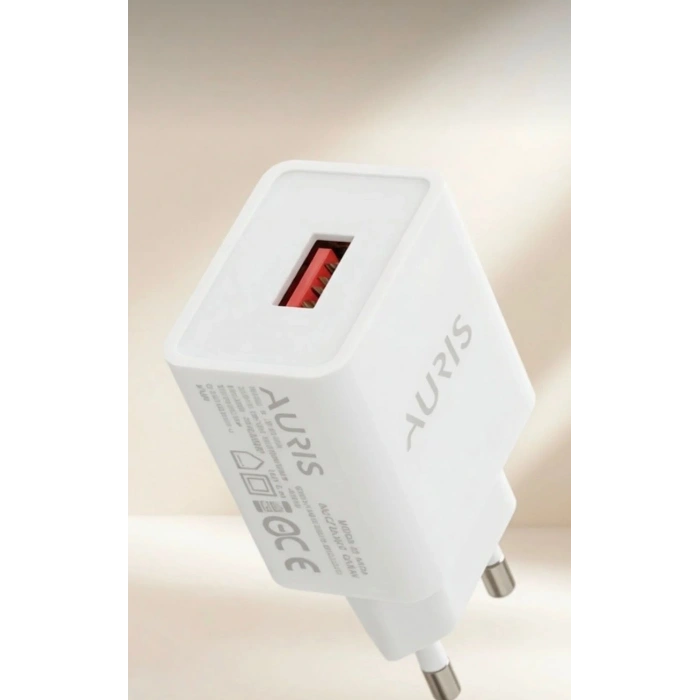 Auris CH28 Ev Kafa 2.4A – Beyaz USB Şarj Başlığı