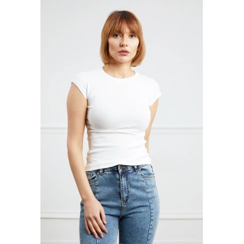 Basic Body