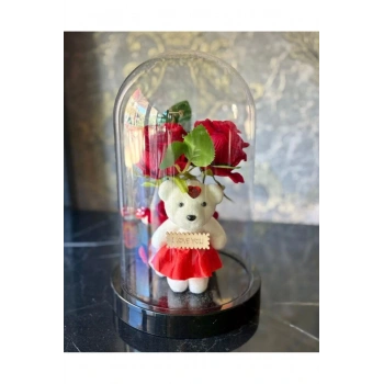 Fanus İçinde Gül Ve Ayıcık Led Işıklı