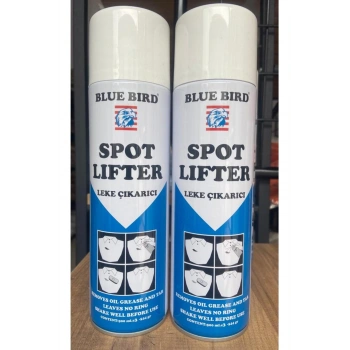 LEKE ÇIKARICI SPREY 500ML