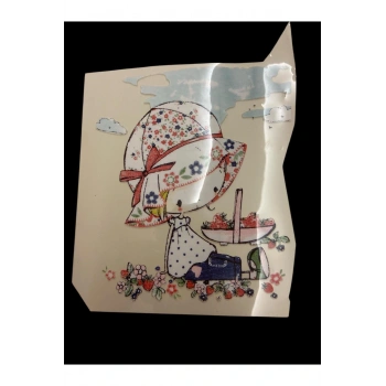 DTF Baskı Arma Yama Etiket, Ütü ile Yapışan Tişört Tekstil Transfer Baskı