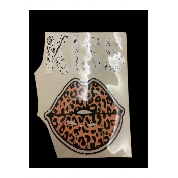 DTF Baskı Arma Yama Etiket, Ütü ile Yapışan Tişört Tekstil Transfer Baskı