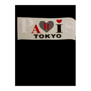 DTF Baskı Arma Yama Etiket, Ütü ile Yapışan Tişört Tekstil Transfer Baskı