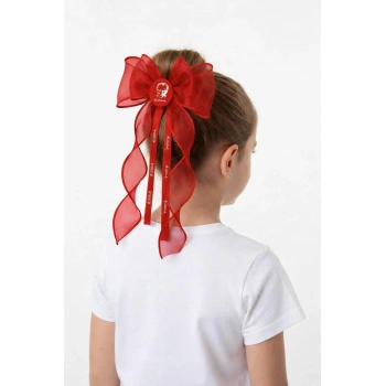 23 Nisan, 19 Mayıs, 29 EKİM, Okuma Bayramı, Özel Gün Tokaları