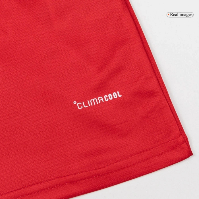 Galler Dünya Kupası 2026 Forma Home