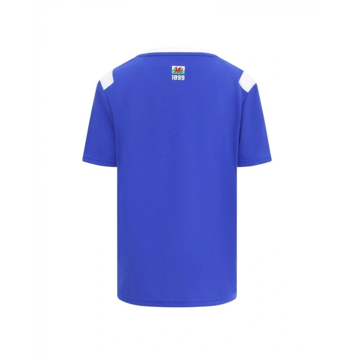 Cardiff City 2026-2027 Forma Home