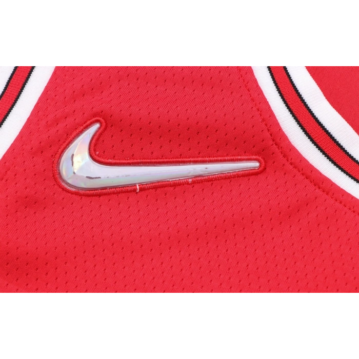 Chicago Bulls 2021-2022 DeMar DeRozan 11 Swingman Authentic Forma