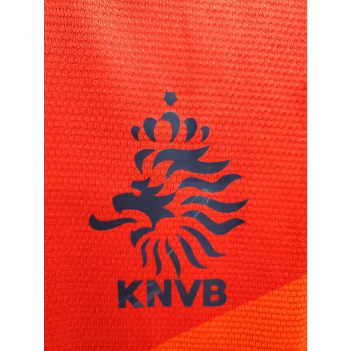 Hollanda 2012 Retro Forma