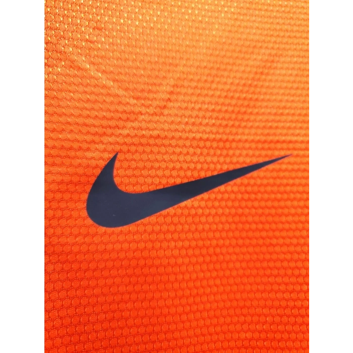 Hollanda 2012 Retro Forma