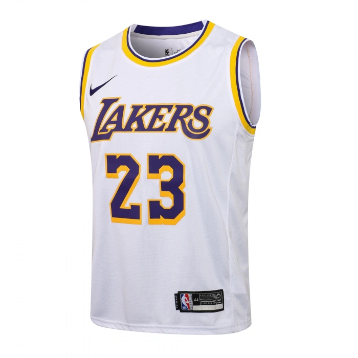 Los Angeles Lakers 2018-2021 LeBron James 23 Swingman Authentic Forma