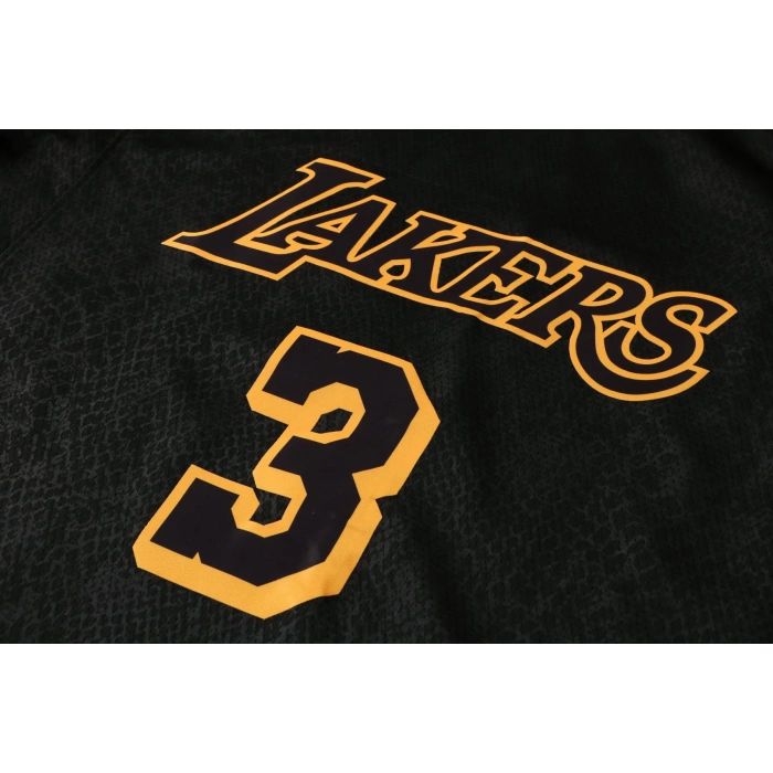 Los Angeles Lakers 2019-2020 Anthony Davis 3 Swingman Authentic Forma