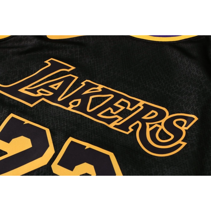 Los Angeles Lakers 2019-2020 LeBron James 23 Swingman Authentic Forma