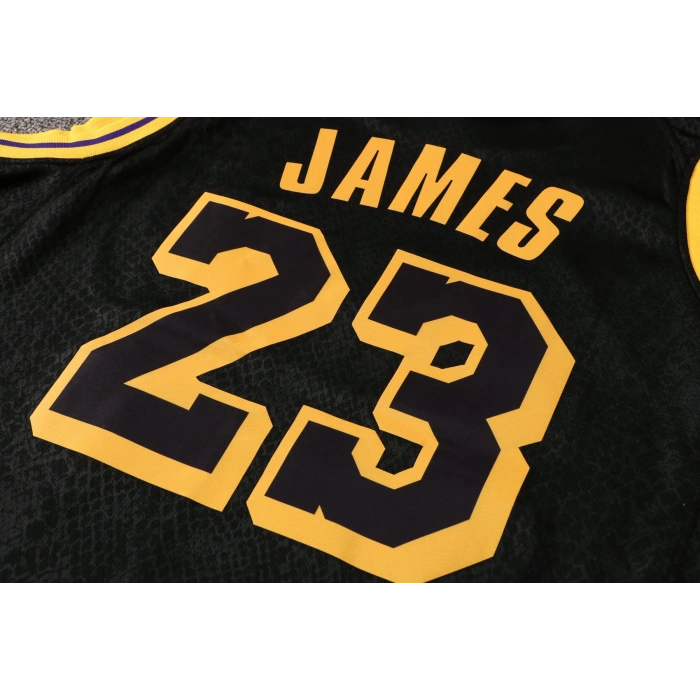 Los Angeles Lakers 2019-2020 LeBron James 23 Swingman Authentic Forma