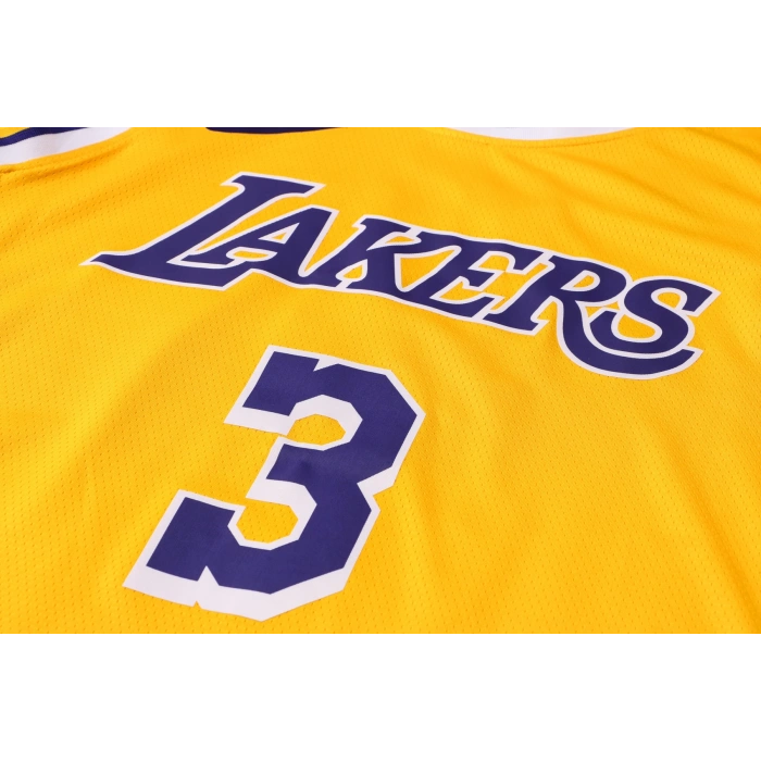 Los Angeles Lakers 2020-2021 Anthony Davis 3 Swingman Authentic Forma
