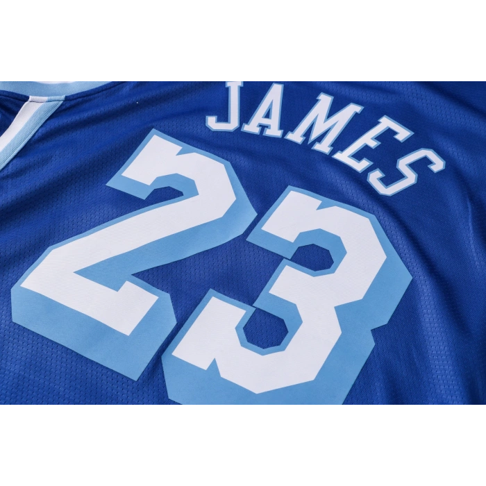 Los Angeles Lakers 2020-2021 LeBron James 23 Swingman Authentic Forma