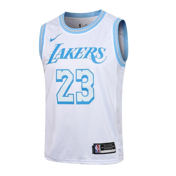 Los Angeles Lakers 2020-2021 LeBron James 23 Swingman Authentic Forma