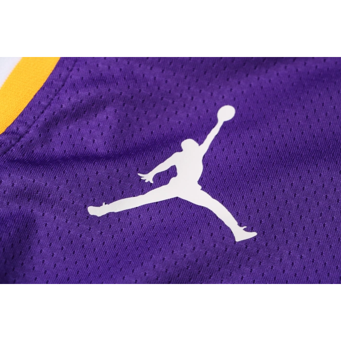 Los Angeles Lakers 2021-2022 Anthony Davis 3 Swingman Authentic Forma