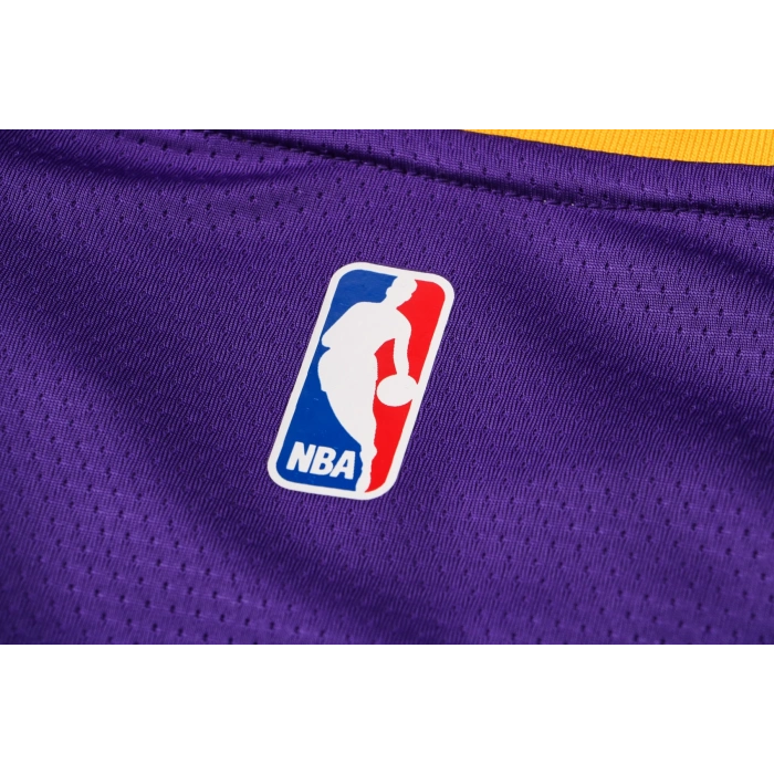 Los Angeles Lakers 2021-2022 Anthony Davis 3 Swingman Authentic Forma