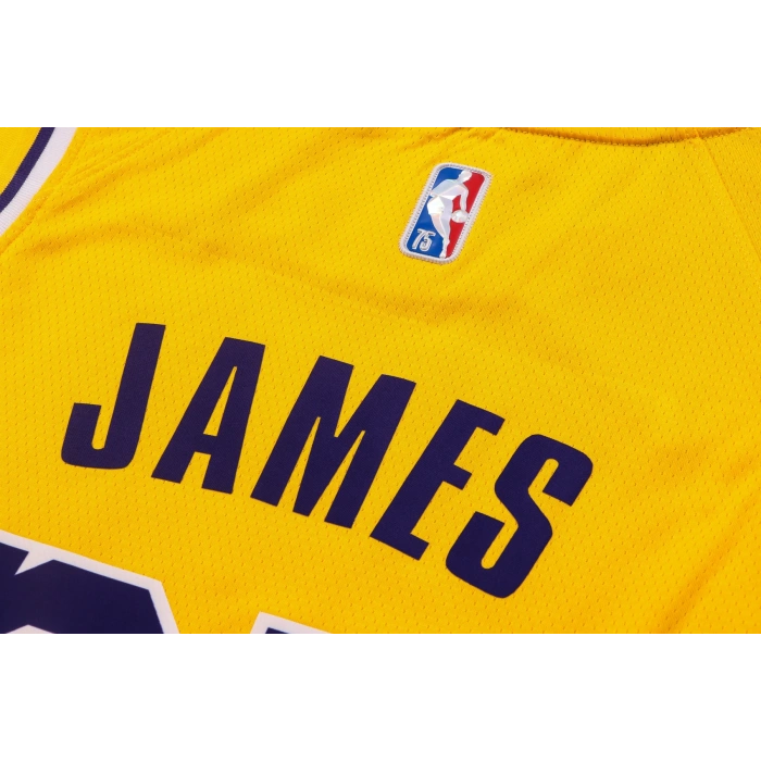 Los Angeles Lakers 2021-2022 LeBron James 23 Swingman Authentic Forma