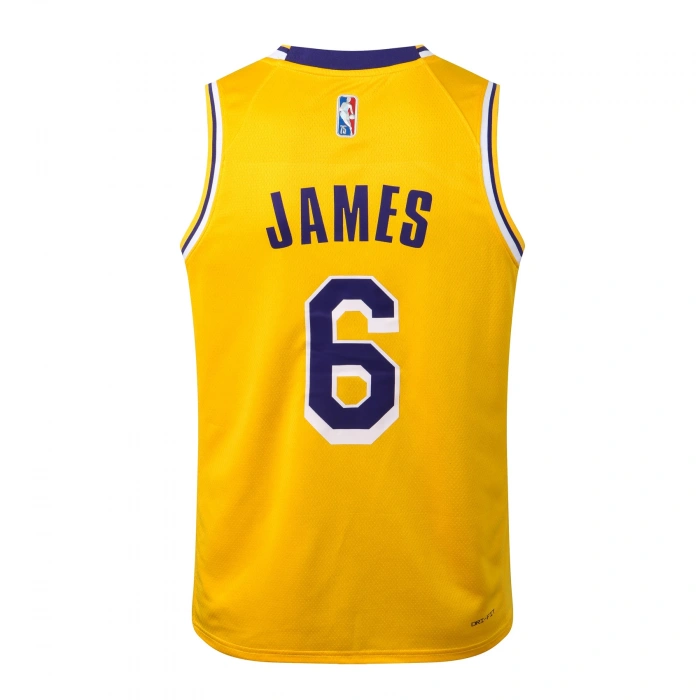 Los Angeles Lakers 2021-2022 LeBron James 6 Swingman Authentic Forma
