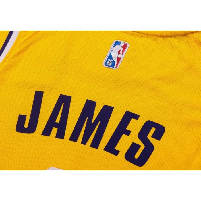 Los Angeles Lakers 2021-2022 LeBron James 6 Swingman Authentic Forma