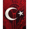 Türkiye Milli Takım Özel Tasarım Forma Ön Sipariş