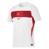 Türkiye Dünya Kupası 2026 - Profesyonel Maç Forması Away