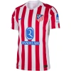 Atletico Madrid 2025-2026 Vapor - Profesyonel Maç Forması Home