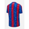 Crystal Palace 2024-2025 Forma Home