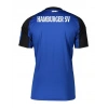 Hamburg 2025-2026 Forma Away