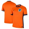 Hollanda Euro 2024 Forma Home