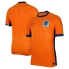 Hollanda Euro 2024 Vapor Profesyonel Maç Forması Away