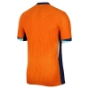 Hollanda Euro 2024 Vapor Profesyonel Maç Forması Away