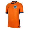 Hollanda Euro 2024 Vapor Profesyonel Maç Forması Away