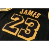 Los Angeles Lakers 2019-2020 LeBron James 23 Swingman Authentic Forma