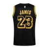 Los Angeles Lakers 2019-2020 LeBron James 23 Swingman Authentic Forma