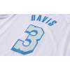 Los Angeles Lakers 2020-2021 Anthony Davis 3 Swingman Authentic Forma