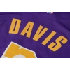 Los Angeles Lakers 2021-2022 Anthony Davis 3 Swingman Authentic Forma