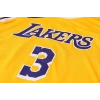 Los Angeles Lakers 2020-2021 Anthony Davis 3 Swingman Authentic Forma
