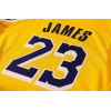 Los Angeles Lakers 2020-2021 LeBron James 23 Swingman Authentic Forma