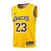 Los Angeles Lakers 2020-2021 LeBron James 23 Swingman Authentic Forma