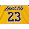 Los Angeles Lakers 2020-2021 LeBron James 23 Swingman Authentic Forma