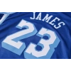 Los Angeles Lakers 2020-2021 LeBron James 23 Swingman Authentic Forma