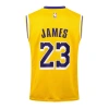Los Angeles Lakers 2020-2021 LeBron James 23 Swingman Authentic Forma