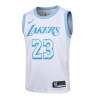 Los Angeles Lakers 2020-2021 LeBron James 23 Swingman Authentic Forma