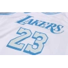 Los Angeles Lakers 2020-2021 LeBron James 23 Swingman Authentic Forma