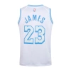 Los Angeles Lakers 2020-2021 LeBron James 23 Swingman Authentic Forma