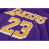 Los Angeles Lakers 2021-2022 LeBron James 23 Swingman Authentic Forma
